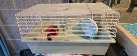 Photo of free Hamster cage with food and bedding (Redhouse, Swindon, SN25) #1
