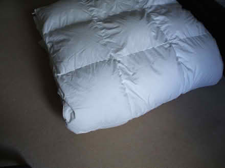 Photo of free King Size Goose Down Duvet (Five Ways B15) #1