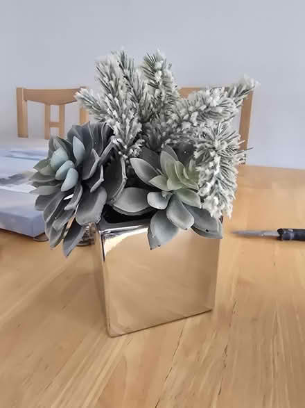 Photo of free Decorative plant (Basildon SS13) #2