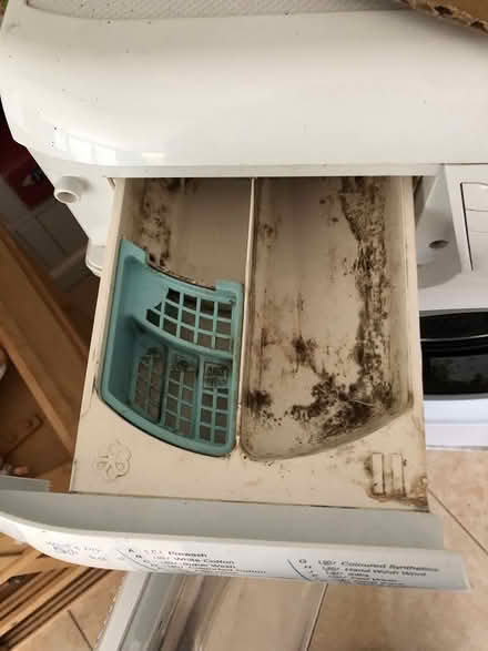 Photo of free Hotpoint washing machine (Woodbridge IP12) #3