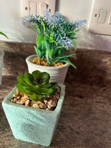Photo of free Artificial plants in pots (Bacton IP14) #3