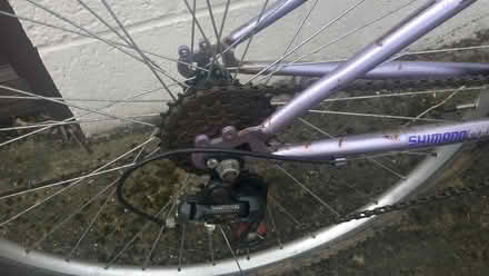 Photo of free Ladies bike (Tonbridge TN9) #4