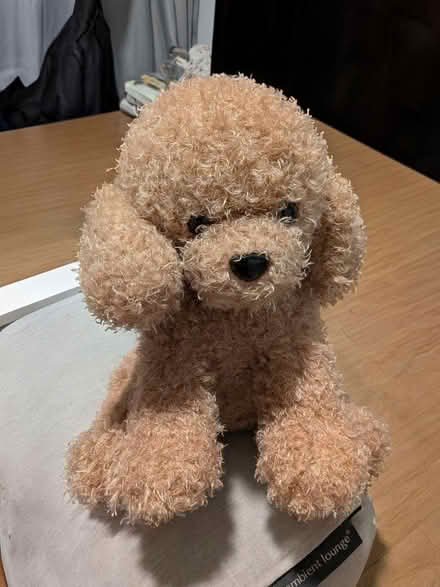 Photo of free Plush toys (Sengkang) #2
