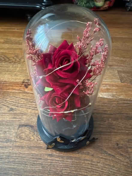 Photo of free Lighted Forever Rose - Red (Clason Point Bronx NY) #1