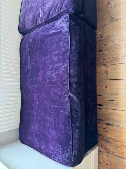 Photo of free 2 purple velvet single sofa beds (Ealing W13) #2