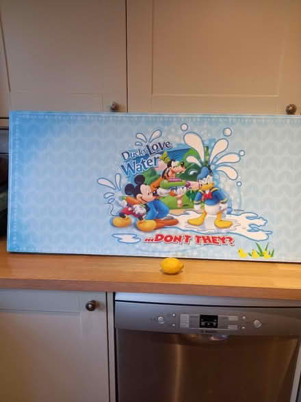 Photo of free Disney canvas (Roundhill area brighton BN2) #3