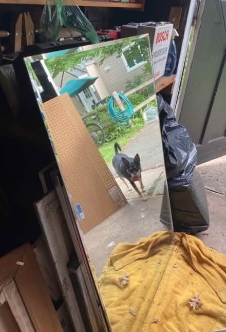 Photo of free Mirror with Beveled Edge (Plainfield near So. Plainfield) #1