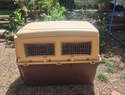 Photo of free XL Dog Travel Crate - IATA Approved Airline Cage (West Norwood SE27) #2