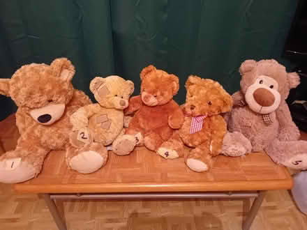 Photo of free teddies (Rose Hill OX4) #1