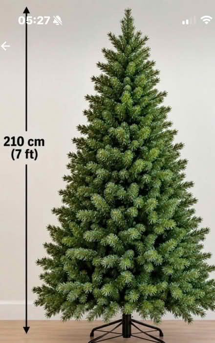 Photo of Christmas Tree (Warden Hill LU3) #1