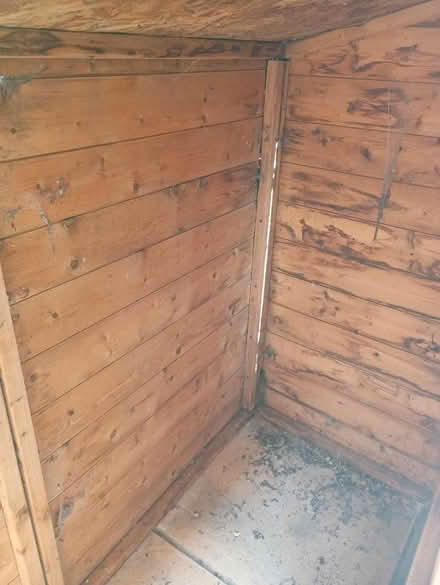 Photo of free Bike shed/wood store/bin store (Didcot OX11) #4