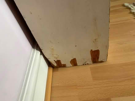 Photo of free Bookshelf (Seven Dials BN1) #3
