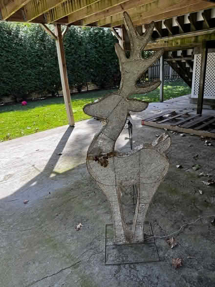 Photo of free Outdoor Christmas Decor (Arlington Heights) #1