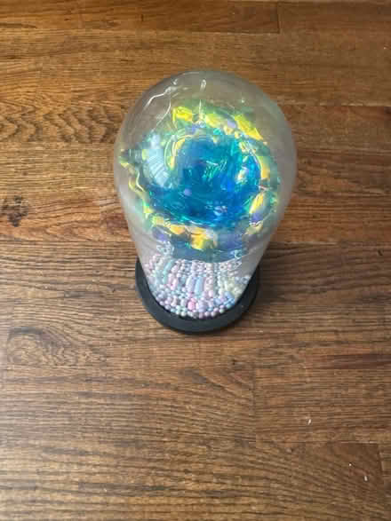 Photo of free Lighted Forever Rose - Blue (Clason Point Bronx NY) #1