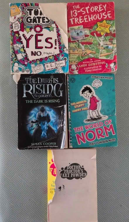 Photo of free David Walliams and other books (Wollaton NG8) #2