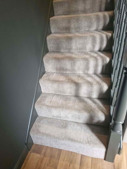 Photo of free 12.5 step stairs carpet (Rastrick HD6) #1