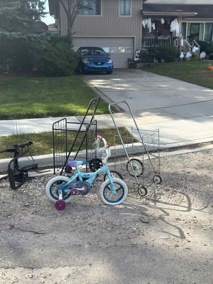 Photo of free " Frozen" bike (Nassau County) #1