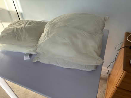 Photo of free Cushions inserts x 5 (Bromley BR2) #2