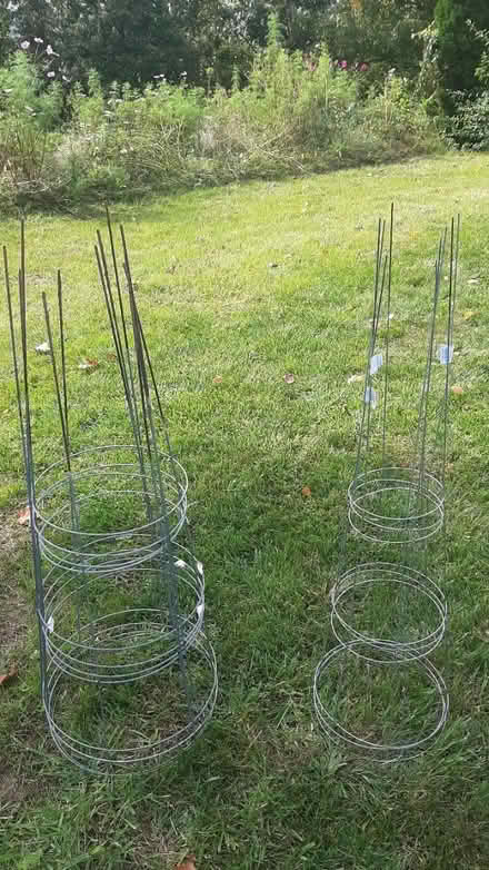 Photo of free Tomato/plant cages (In Naugatuck, Ct.) #1