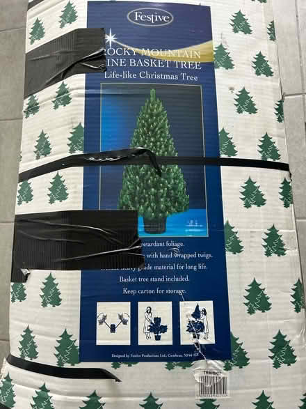 Photo of free Coeden Nadolig/Christmas tree (Tregarth LL57) #1