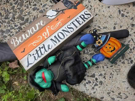 Photo of free Halloween decor (M- Section Bowie) #1