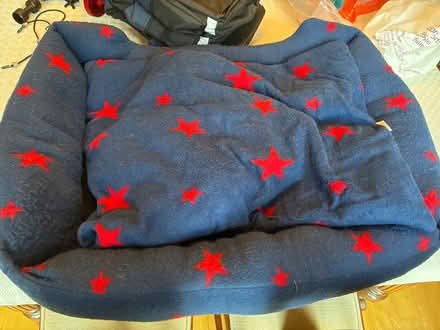 Photo of free Pet / dog / cats bed (Great Boughton CH3) #1