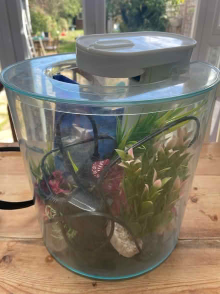 Photo of free Small fish tank & pump (Radley Road OX14) #1