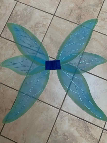 Photo of free Green “fairy” wings (Sunnyvale Birdland) #1