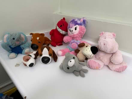 Photo of free Assorted plush toys-stuffed animals (Valencia Avenue, Sunnyvale) #1