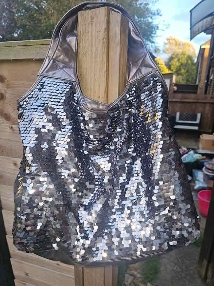 Photo of free Sequined bag (Burton-upon-Trent DE14) #2
