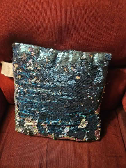Photo of free Silver or blue cushion (Near the experimental farm) #1