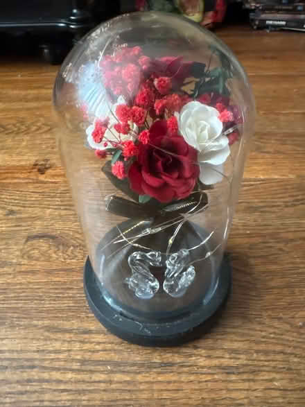 Photo of free Lighted Forever Rose - White & Red (Clason Point Bronx NY) #1