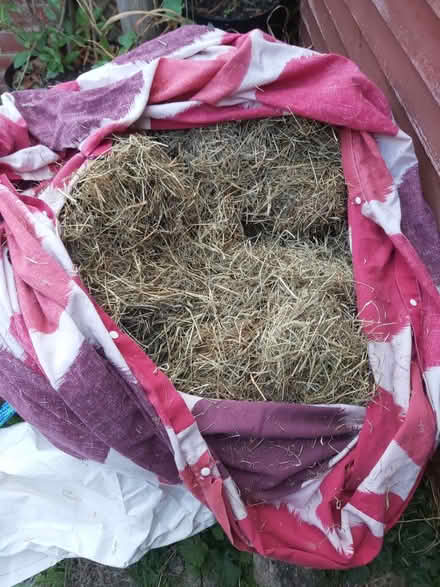 Photo of free Half bale of dry hay (Stroud (central) GL5) #1