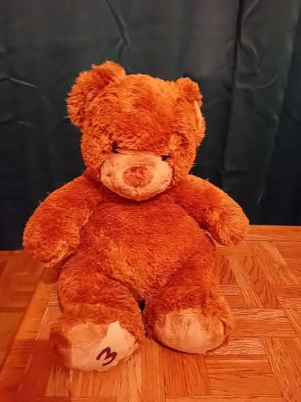 Photo of free teddies (Rose Hill OX4) #4