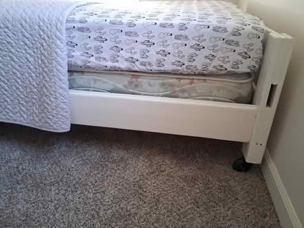 Photo of free Single beds (1307 Cedar St. Alex. MN, alley) #1