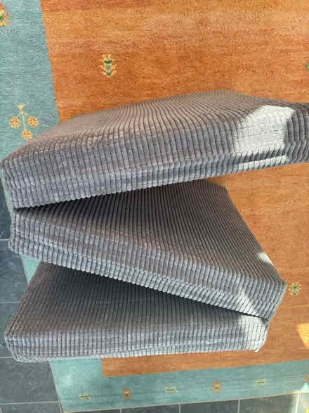 Photo of free Cushion/put up bed (Birchwood LN6) #2