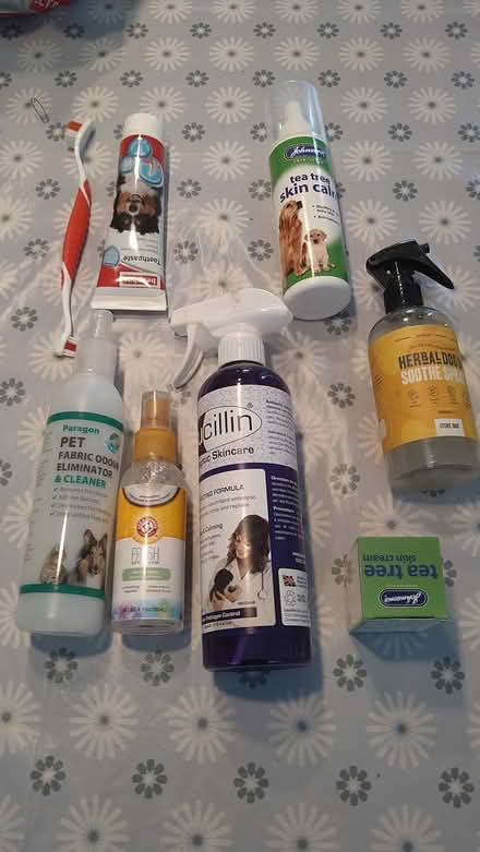 Photo of free various dog products (Kirkdale) #1