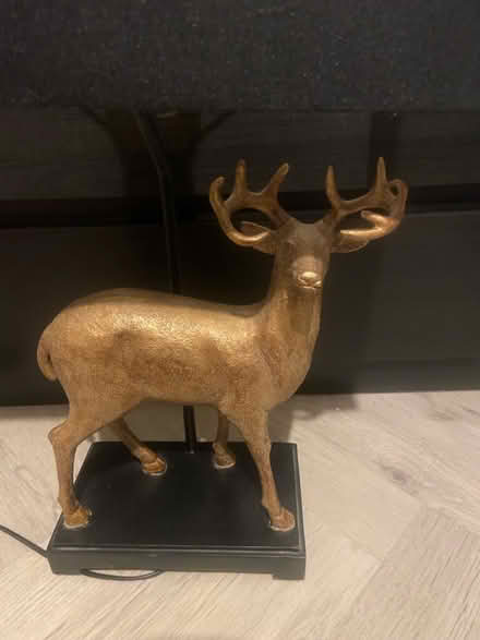 Photo of free Stag lamp (Coldean) #2