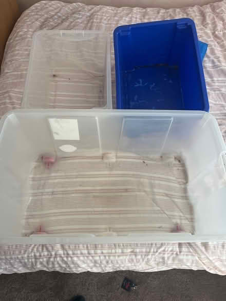 Photo of free Plastic storage (Cheam SM3) #1