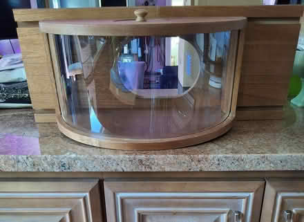 Photo of free Bird Feeder (Nassau County) #1