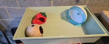 Photo of free Hamster cage with food and bedding (Redhouse, Swindon, SN25) #2