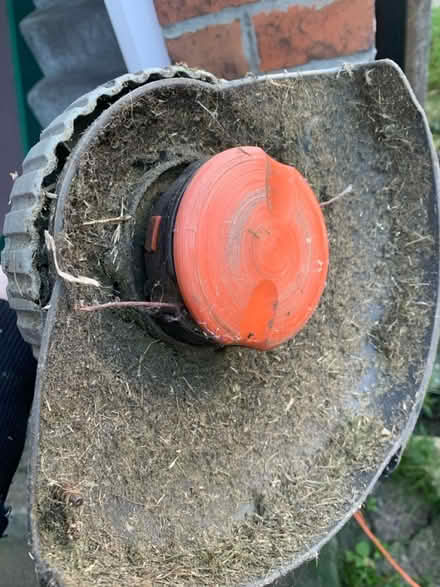 Photo of free Corded garden strimmer (Heaton NE6) #3