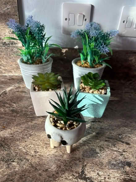 Photo of free Artificial plants in pots (Bacton IP14) #1