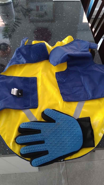 Photo of free dog coat and grooming mitt (Kirkdale) #1