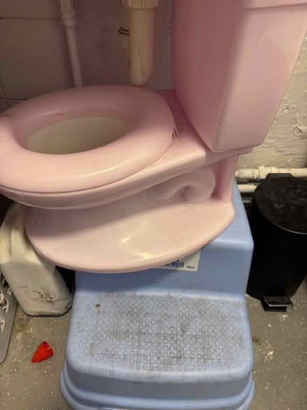 Photo of free Steps and girls potty (Stevenage SG1) #1