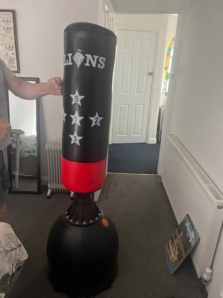Photo of free Boxing punch bag and 2 x 5kg weights (Beeston Fields Drive NG9) #1