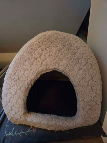 Photo of free Cat house (Brincliffe S11) #2
