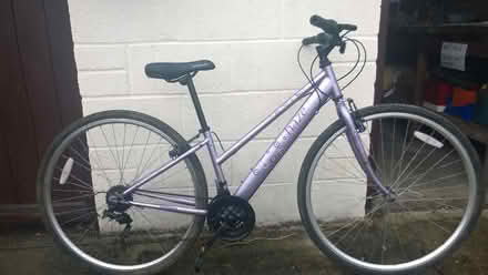 Photo of free Ladies bike (Tonbridge TN9) #2