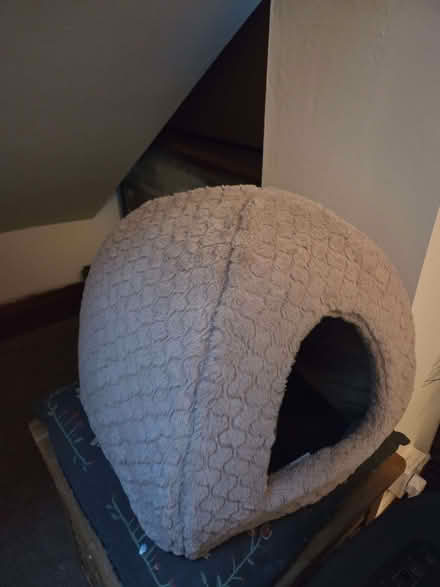 Photo of free Cat house (Brincliffe S11) #1