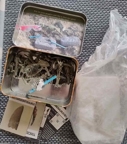 Photo of free Dinosaur bones/excavation set (North Road BA2) #1